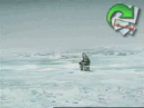 Pescador comido